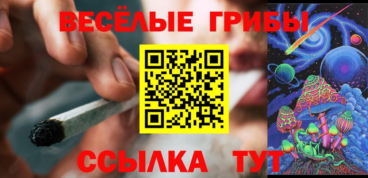 Галлюциногенные грибы прущие грибы Россия