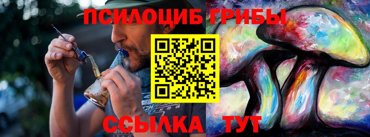 Россия  Псилоцибиновые грибы Psilocybine cubensis  Галлюциногенные грибы Magic Shrooms  Вход с VPN 